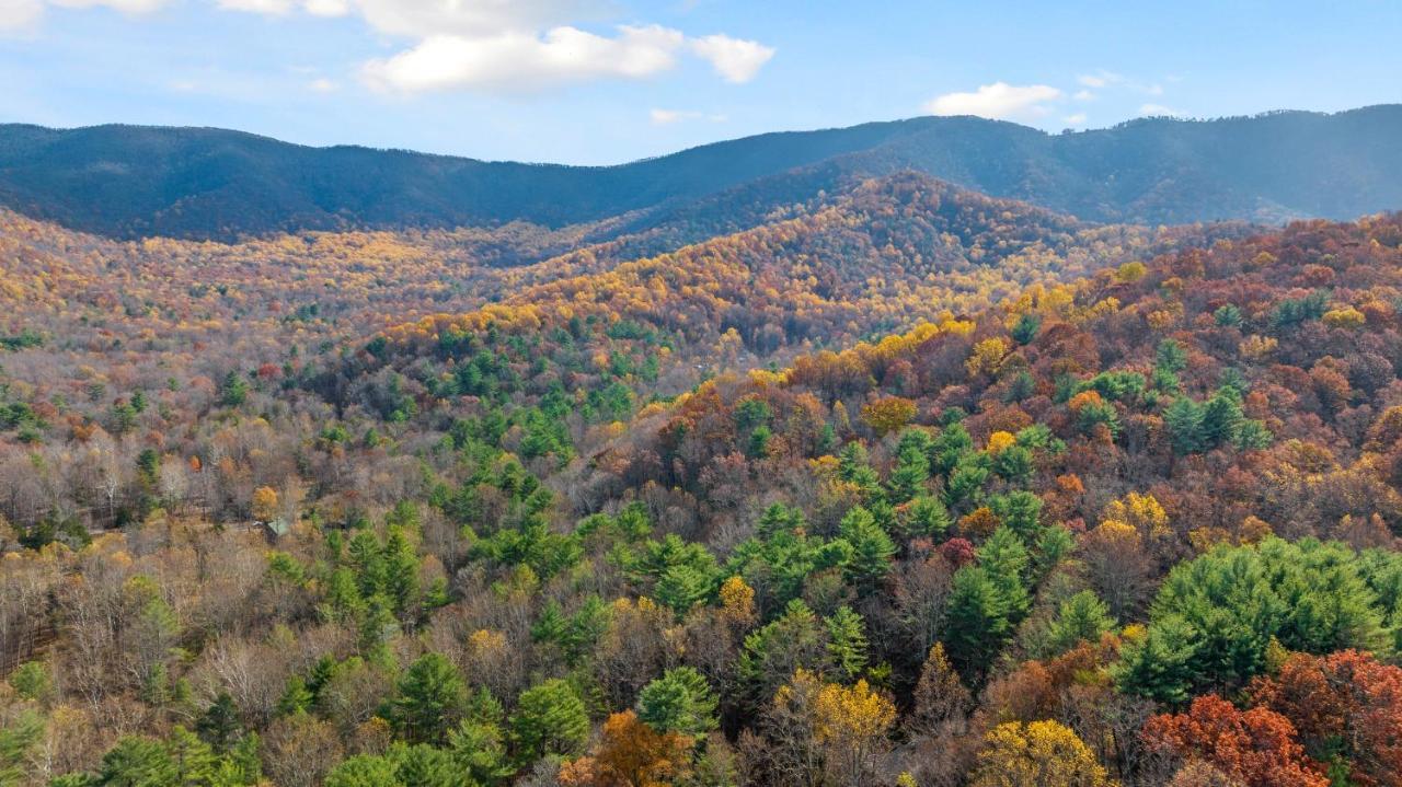 Sleepy Hollow 5Br Cabin - National Park 7 Min, Hot Tub, Fire Pit, Sleeps 12 Luray Extérieur photo
